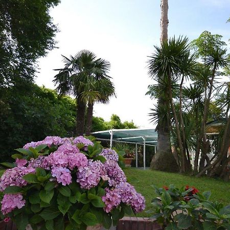 Bed and Breakfast Il Piccolo Nido Borgo Montenero Екстер'єр фото
